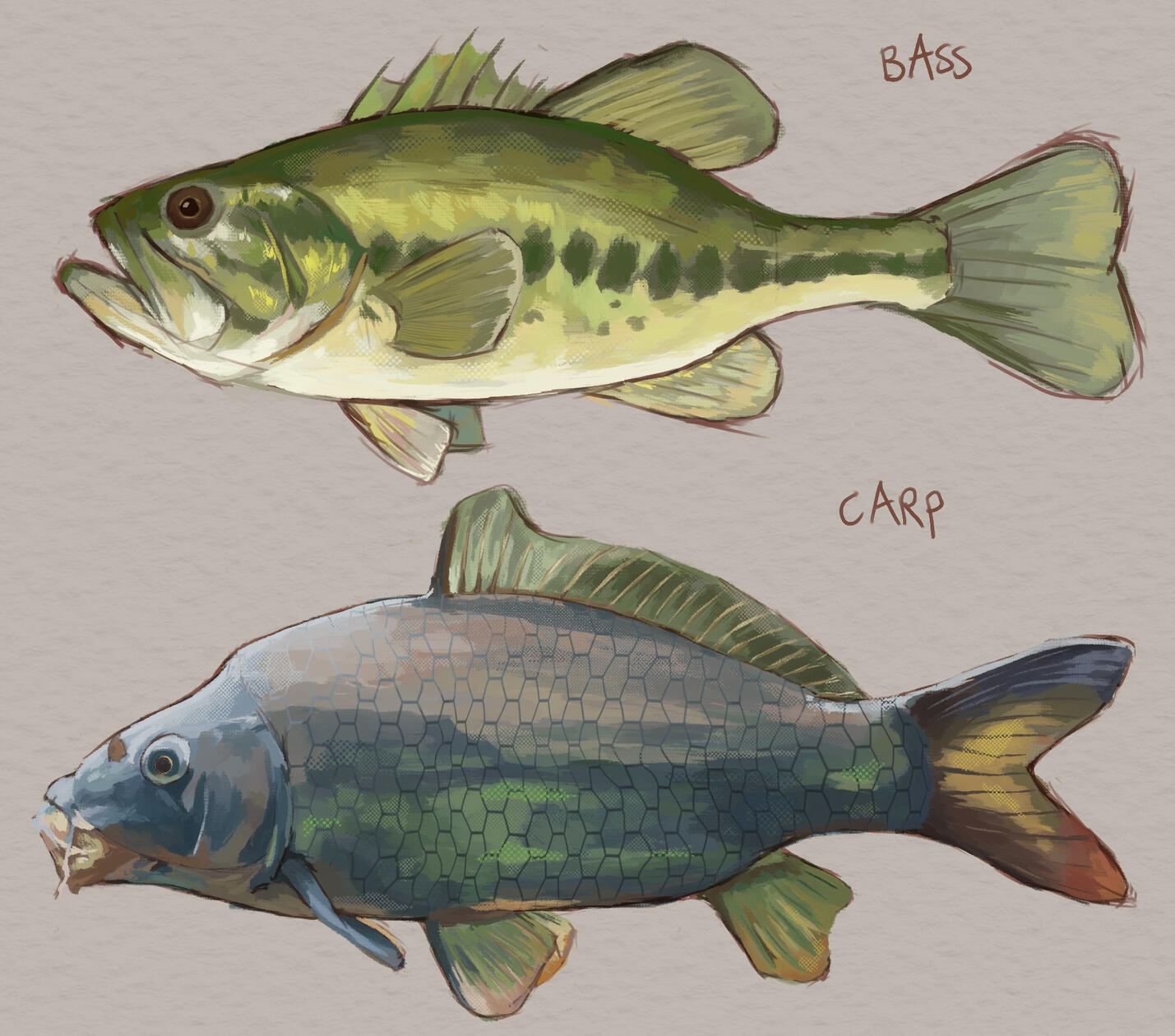 2025, fish studies