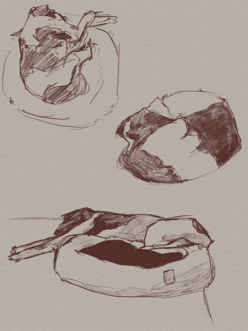2024, a page of dog sketches