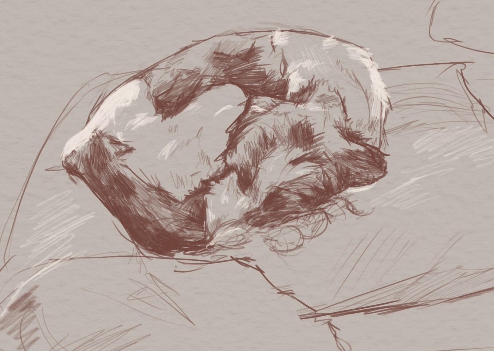 2025, sketch of my dog