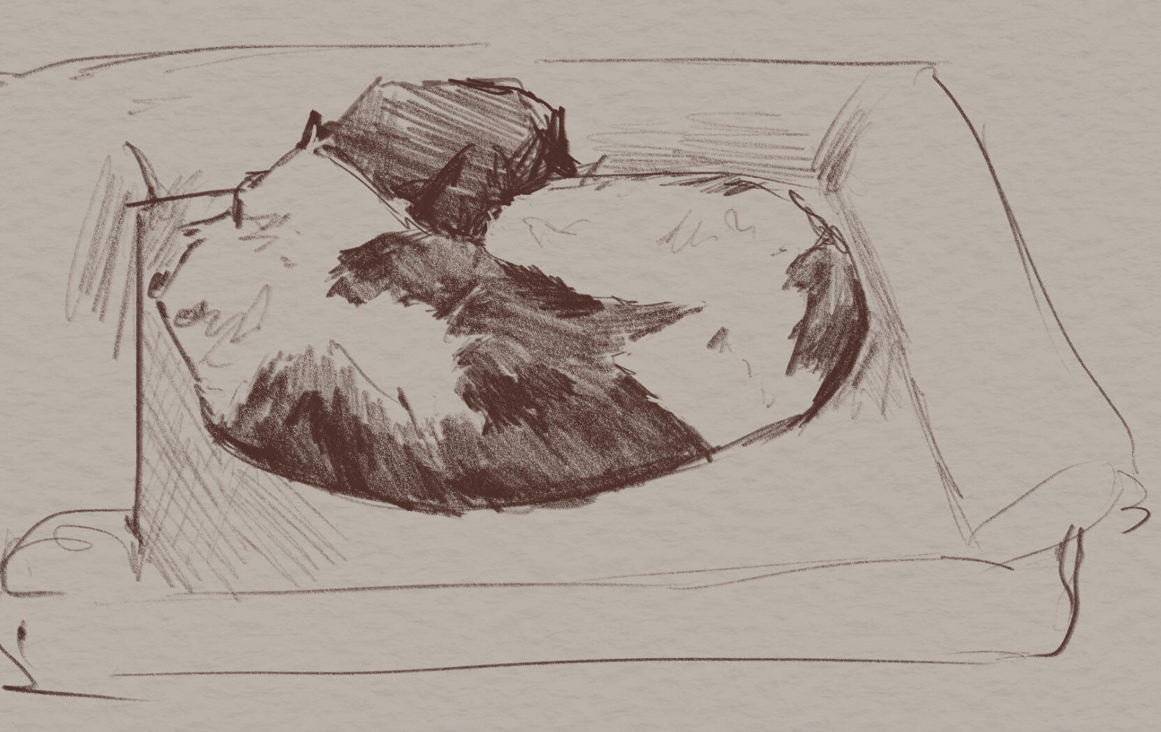 2025, sketch of my dog