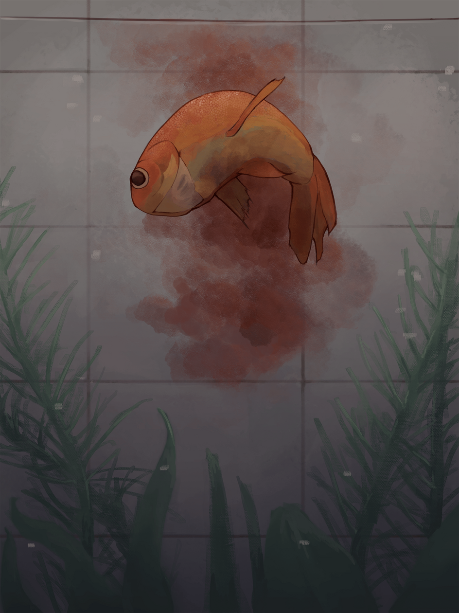 2025, Dead goldfish, assignment