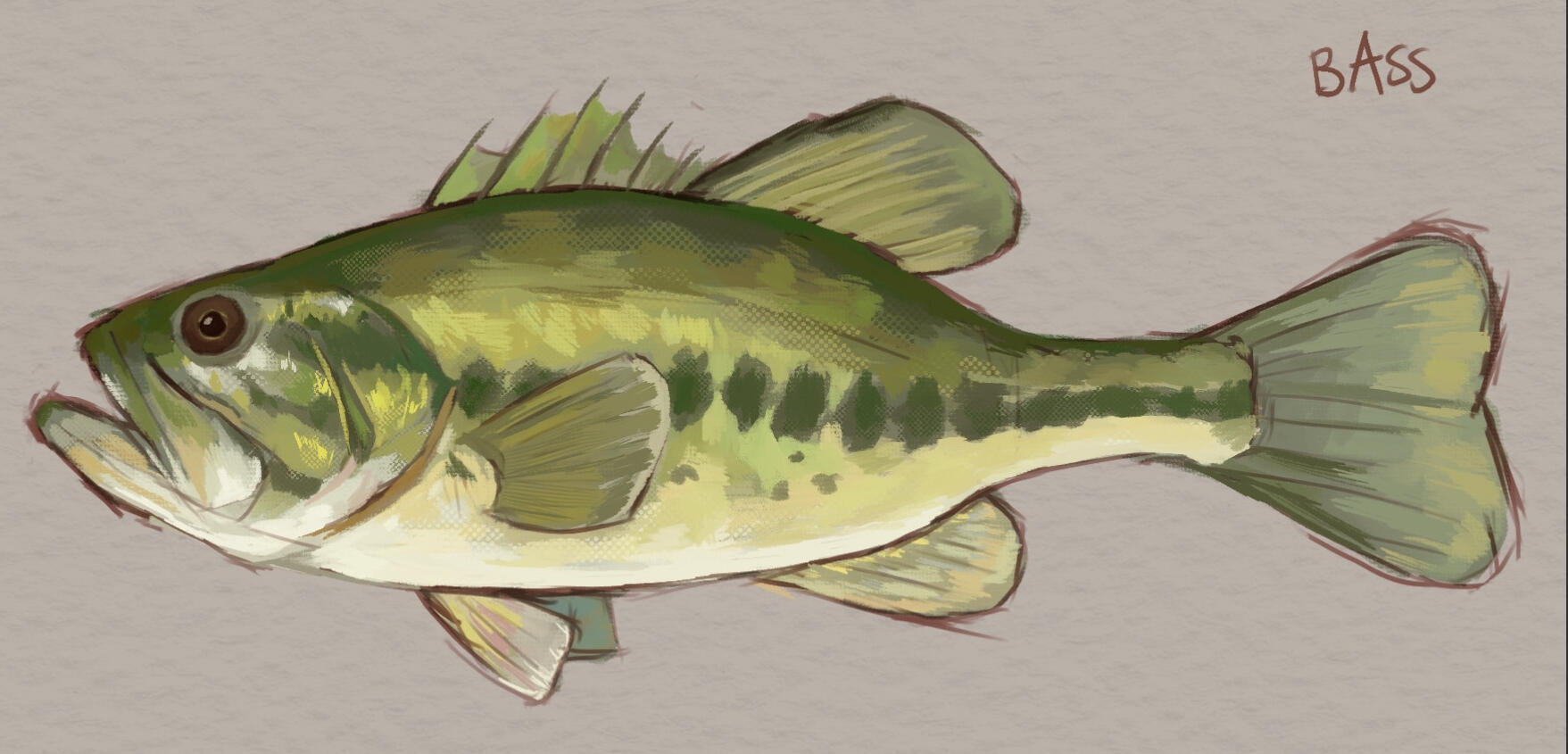 2025, rough painting of a bass