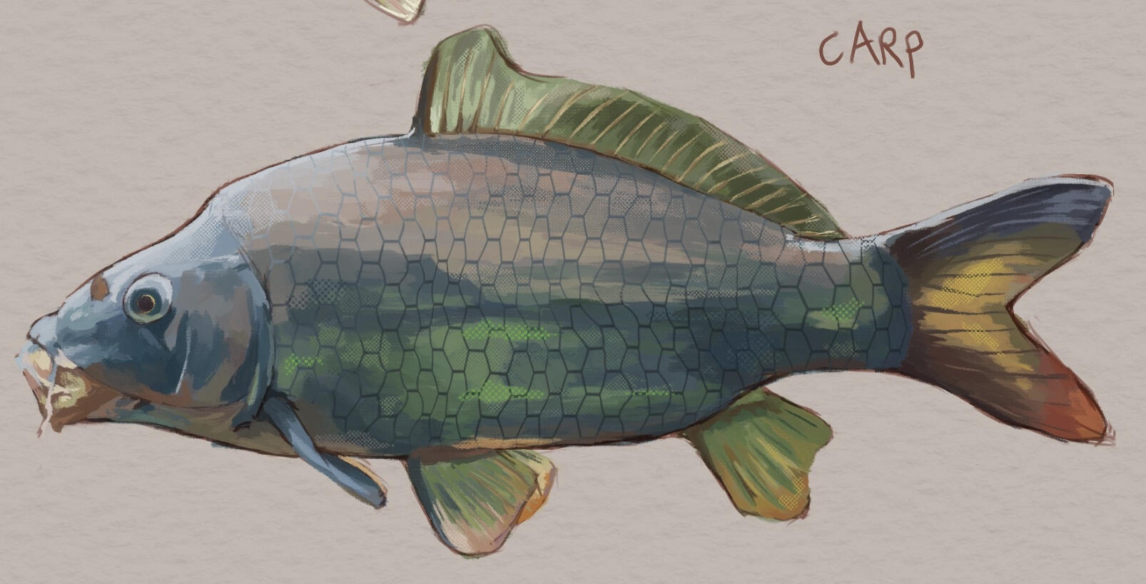2025, rough painting of a carp